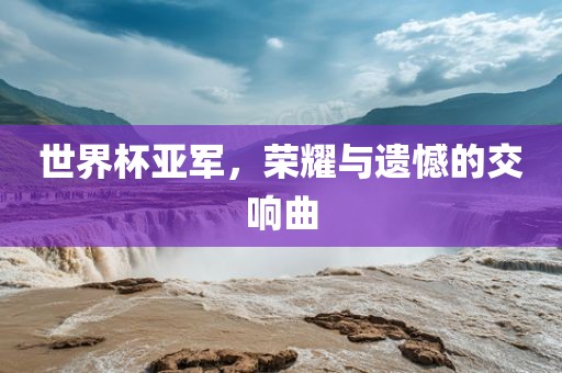 世上海路冉自动化科技有限公司界杯亚军，荣耀与遗憾的交响曲