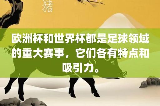 欧洲杯和世界杯都是足球领域的重大赛事，它们各有特点和吸引力。上海路冉自动化科技有限公司