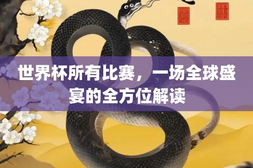 世界杯所有比赛，一场全球盛宴的全方位解读