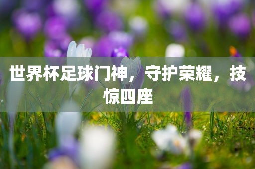 世界杯足球门神，守护荣耀，技惊四座