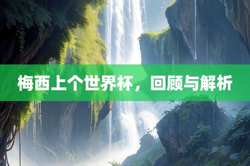 梅西上个世界杯，回顾与解析